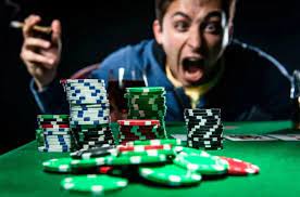 Зеркало Lucky Duck Casino